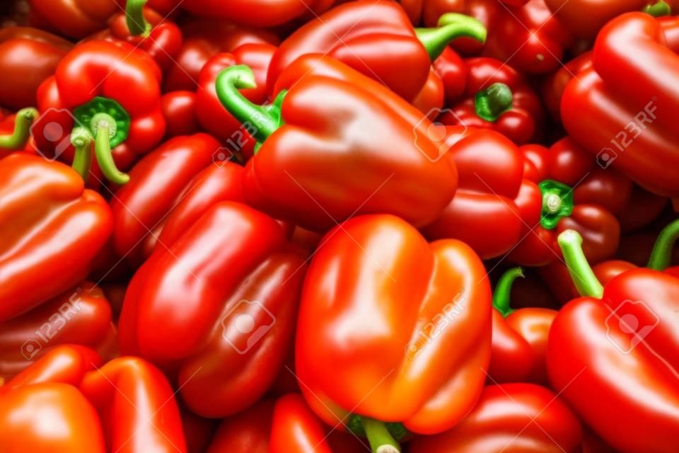 Neue Ernte saftiger roter Paprika. Frisches Gemüse, gesundes Essen
