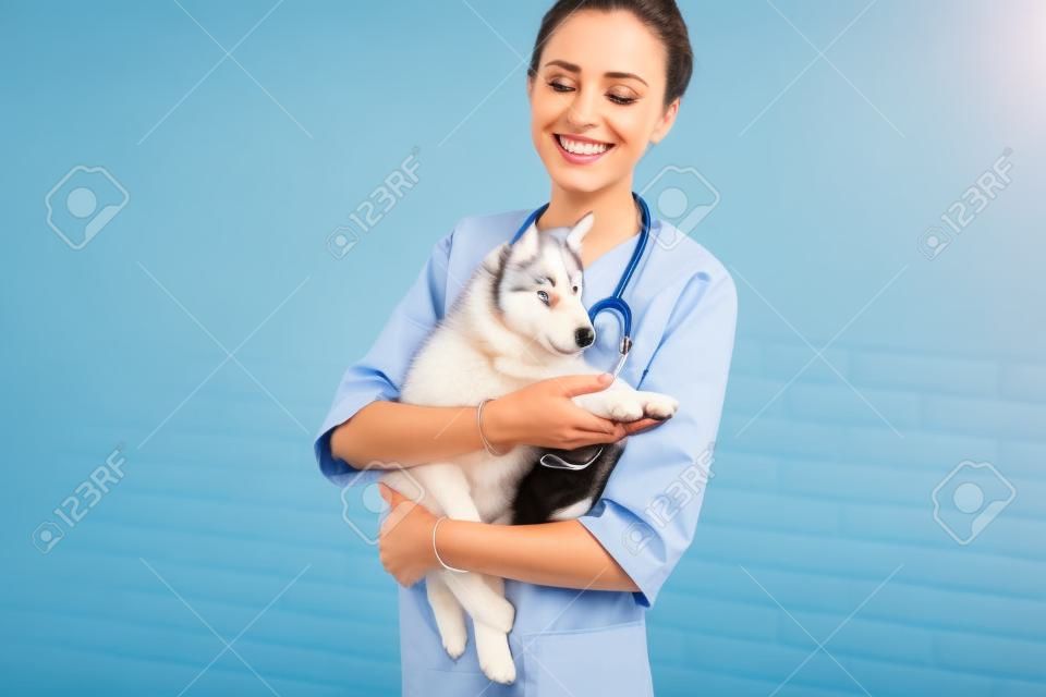 Ветеринар осматривает маленького хриплого щенка