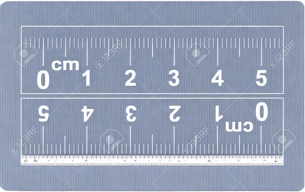 定規5センチメートル。定規50のmm。ルーラーの左から右、右から左へのマーキングの方向。除算0.5mmの値。精密な長さの測定装置。キャリブレーショングリッド。