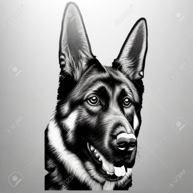 German shepherd cartoon face image hand drawn ,black and white drawing of dog