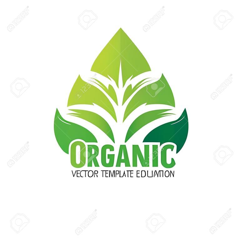 Organic - vector   template concept illustration. Green leaf sign. Nature creative symbol. Design element.