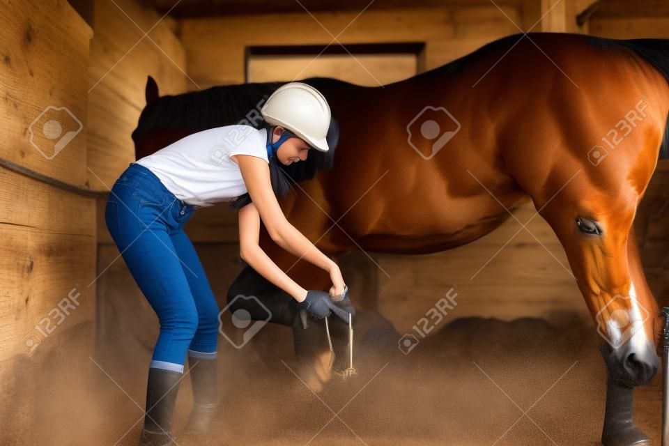 Young woman cleaning horses hoof at box stall
