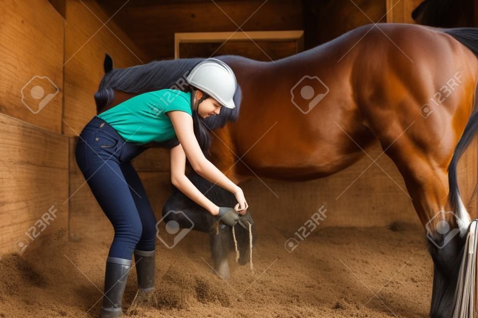 Young woman cleaning horses hoof at box stall