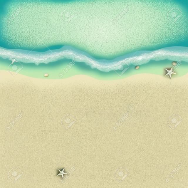 Estate. Vista dall'alto di una spiaggia esotica vuota con stelle marine e conchiglie. Un posto per il tuo progetto. Un mare spumeggiante con onde. Illustrazione vettoriale EPS 10