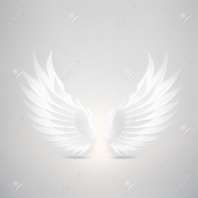 Białe skrzydła ptaka lub anioła