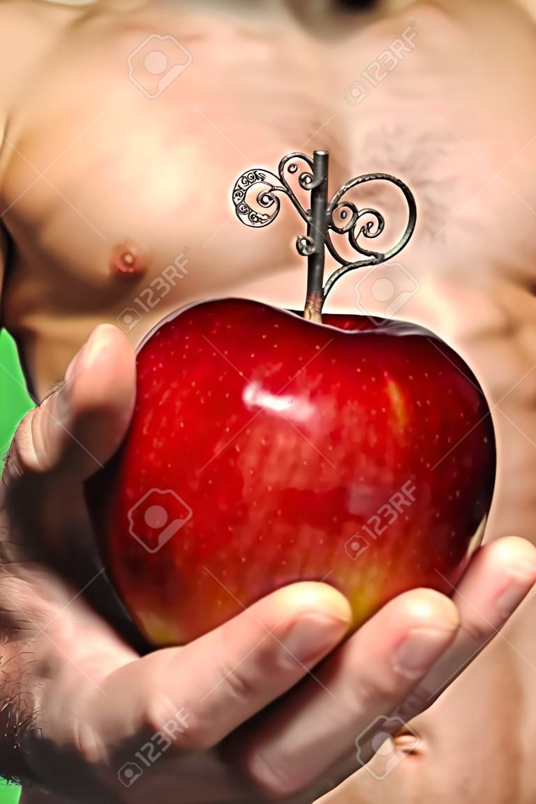 Pomme rouge dans la main de l'homme