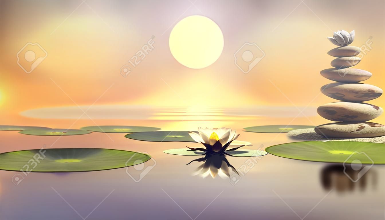 Flores de loto el sol poniente siete piedras riqueza y suerte. el concepto de meditación y spa. fondo de yoga. ilustración 3d