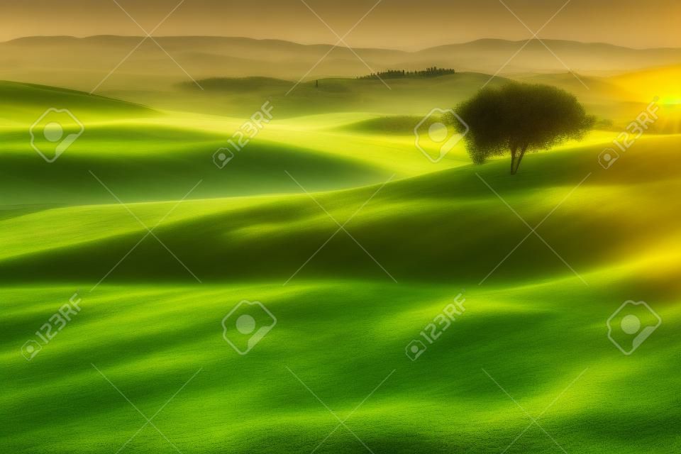 Zonsopgang over de groene velden in Toscane