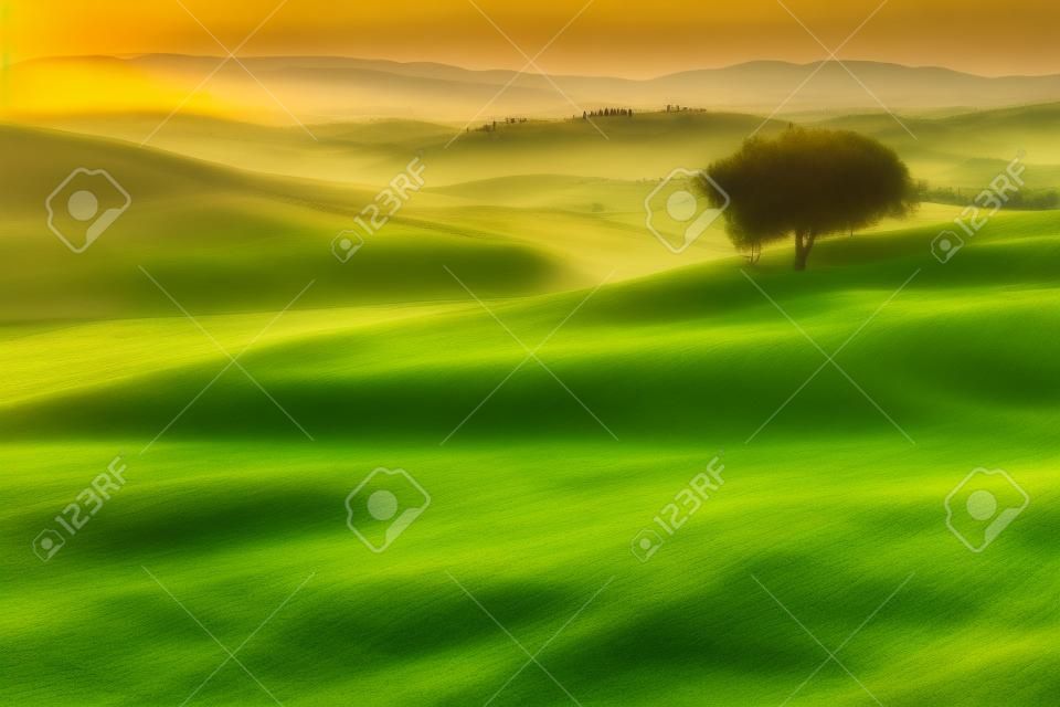 Lever de soleil sur les champs verdoyants de la Toscane