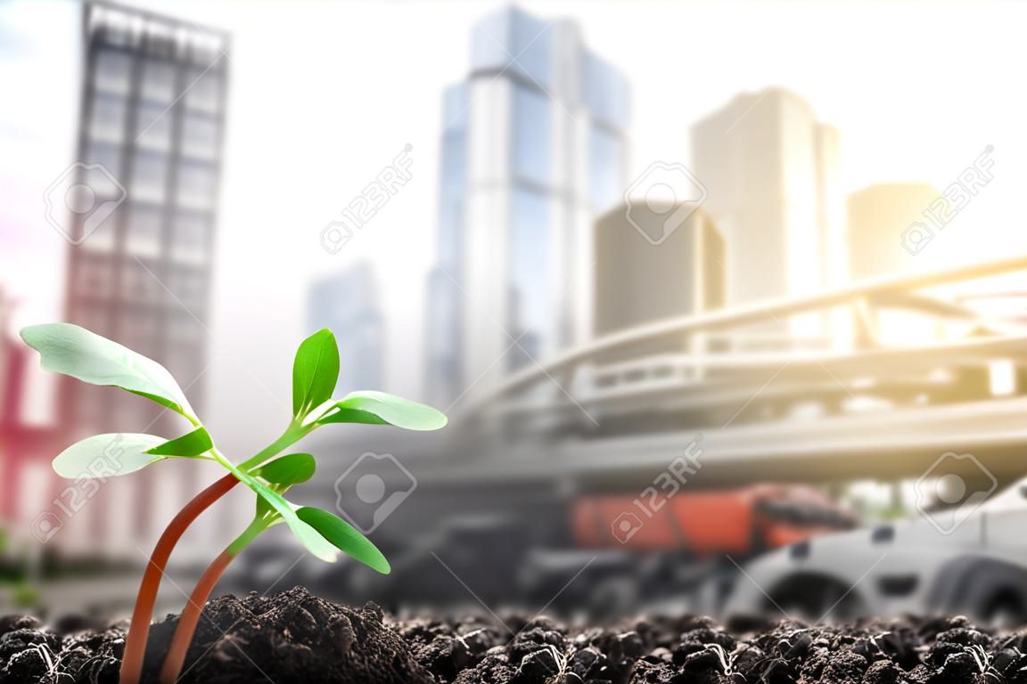 Young green sprouts growing up from soil on blurred city with soft sunlight  background, environmental concept