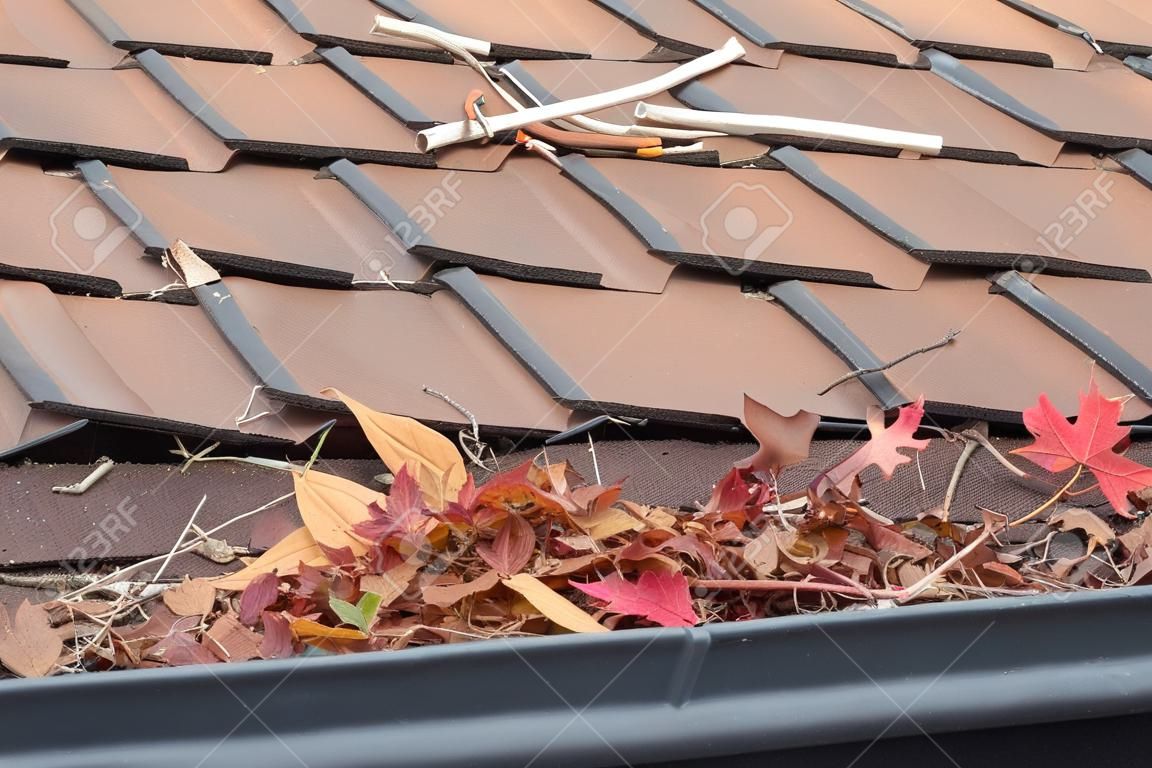 Regenrinnen auf dem Dach ohne Dachrinnenschutz, verstopft mit Blättern, Stöcken und Baumresten. Erhöhtes Risiko von verstopften Dachrinnen, Rost, erhöhter Wartungsbedarf und ist eine potenzielle Brandgefahr
