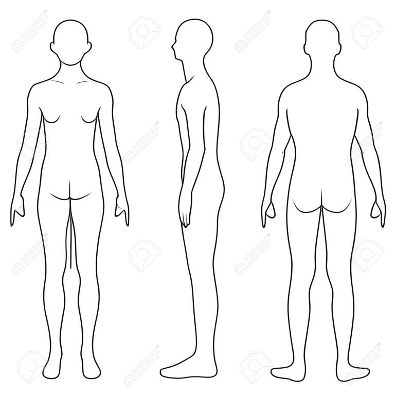 Body Outline Front and Rear Side Posture Vector File