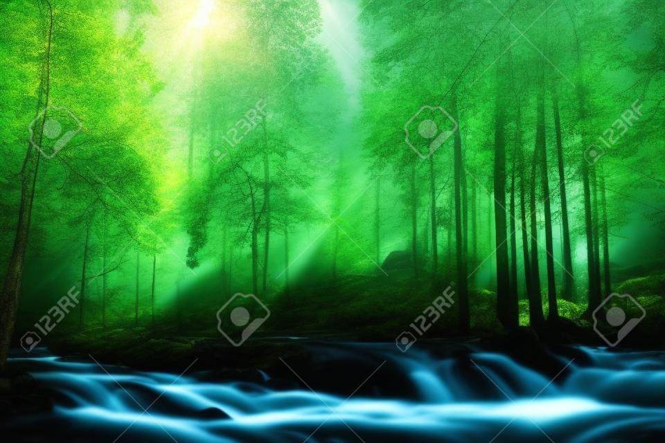 Mountain river flowing through the green forest. Fresh spring the stream of clean water. Ecologically clean zone. Sunset. Dramatic lighting
