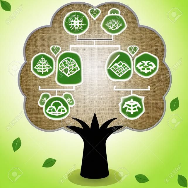 Famiglia Icons Tree, un diagramma su un albero genealogico, isolato su sfondo bianco
