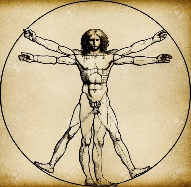 Leonardo da Vinci's vitruvian man in vector