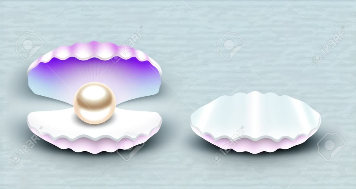 Vektor schöne Perle Shell Icon Set