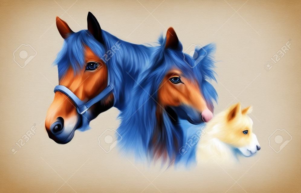 動物のグループ - 犬、猫、馬のイラスト