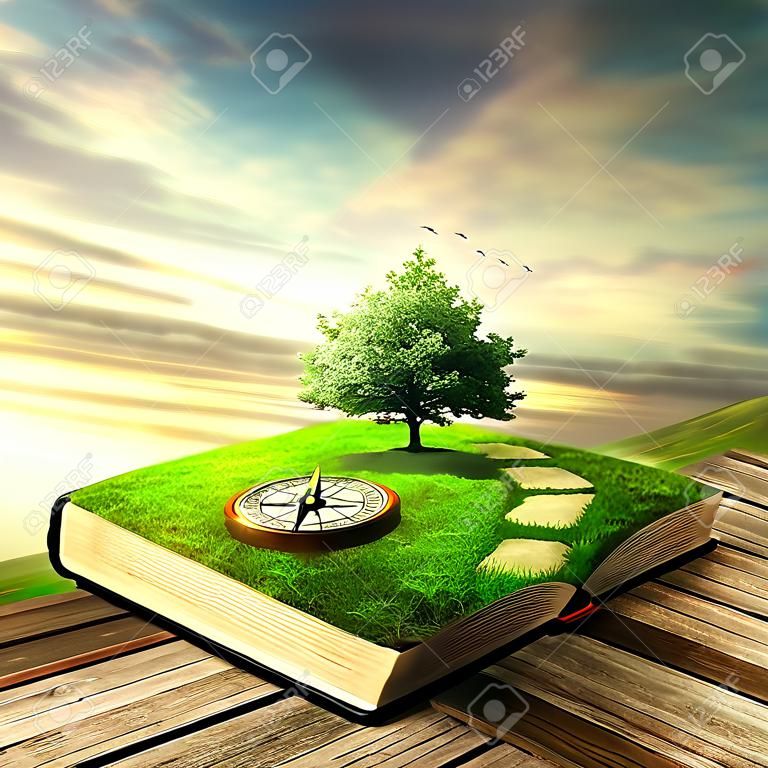 Illustration of magic opened book covered with grass, compass, tree and stoned way on woody floor, balcony. Fantasy world, imaginary view. Book, tree of life, right way concept. Original screensaver.
