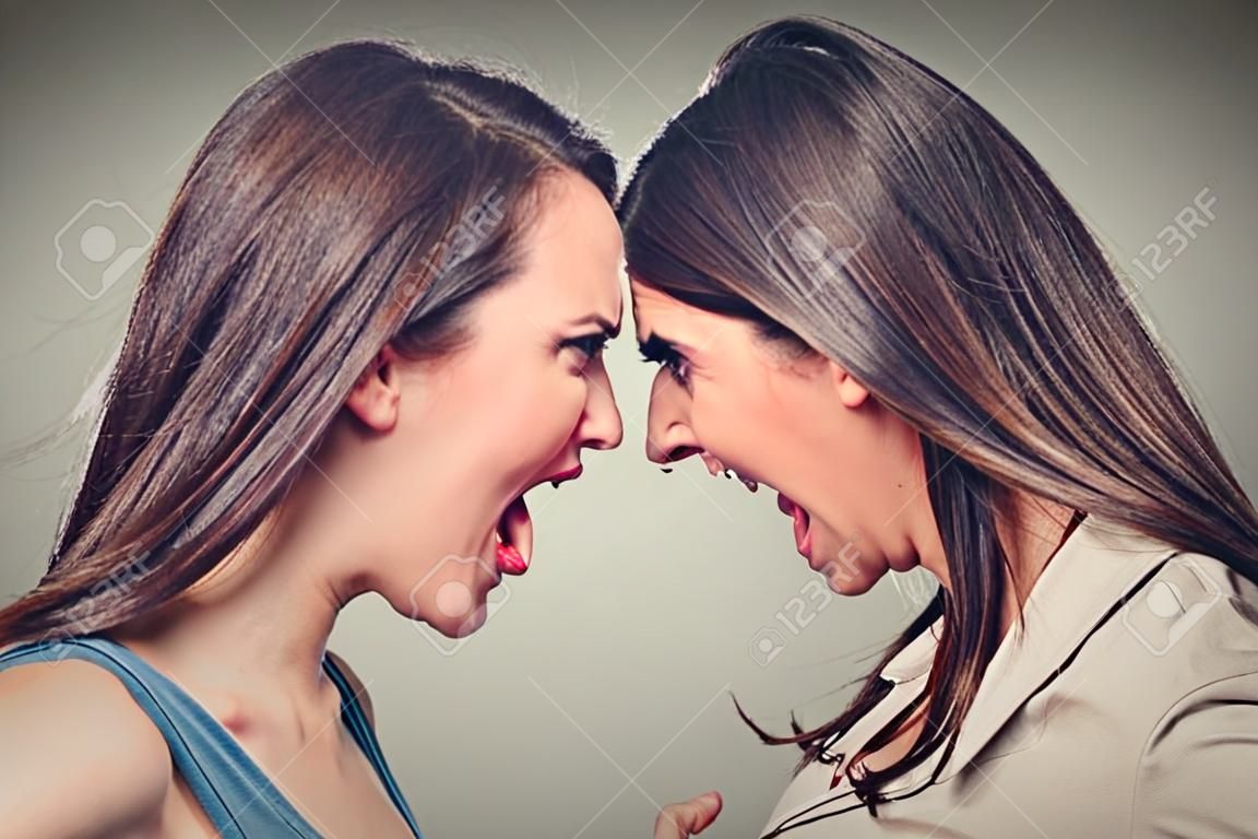 Two women fight. Angry women screaming looking at each other with hatred, blaming for problem. Friendship difficulties, problems at work concept