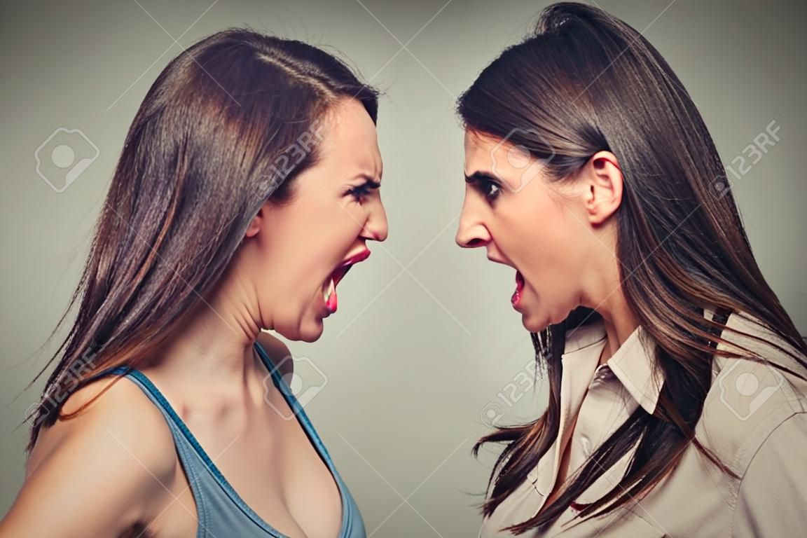 Two women fight. Angry women screaming looking at each other with hatred, blaming for problem. Friendship difficulties, problems at work concept