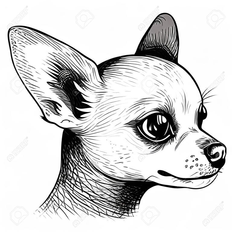 단색 초상화 머리 치와와 강아지 강아지 애완 동물 동물 스케치 벡터.