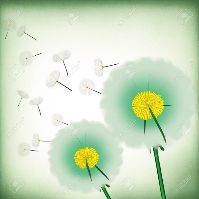 Blumenweinlesehintergrund grün mit zwei Blumen Löwenzahn Vektor-Illustration