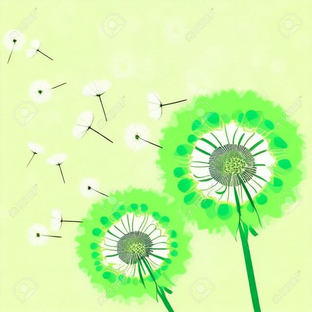 Blumenweinlesehintergrund grün mit zwei Blumen Löwenzahn Vektor-Illustration