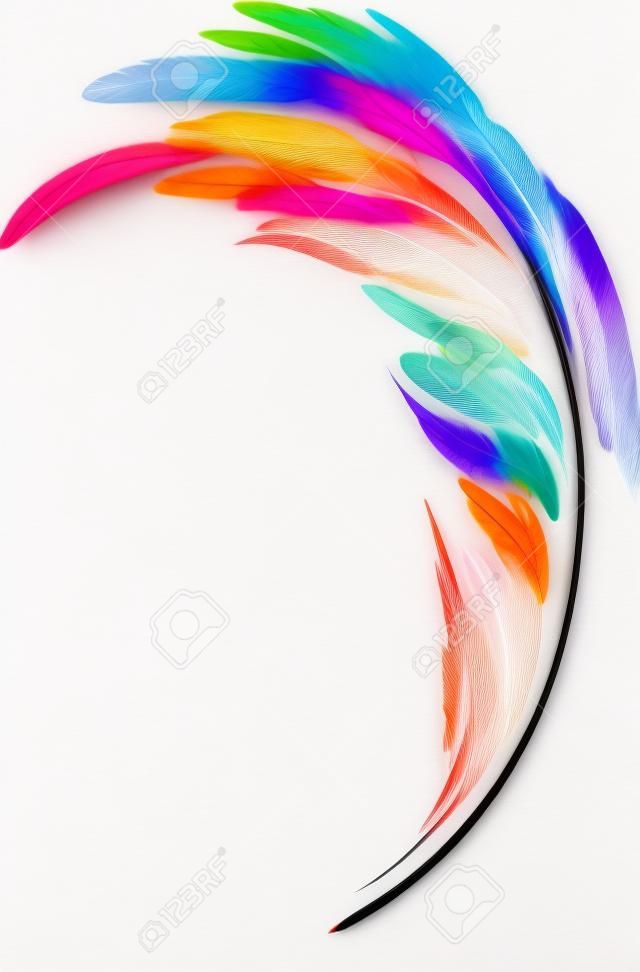 Plume de stylo art multicolore isolé sur fond blanc