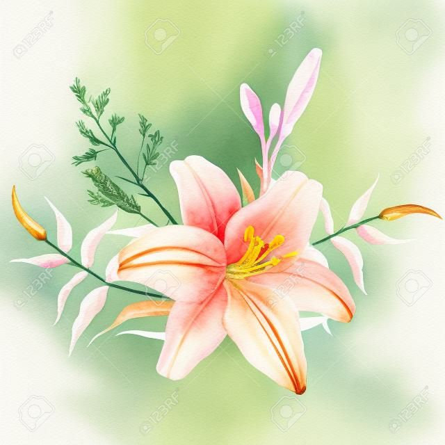 Watercolor Tiger lily with wild herbs. Isolated on white background