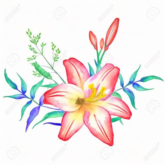 Watercolor Tiger lily with wild herbs. Isolated on white background