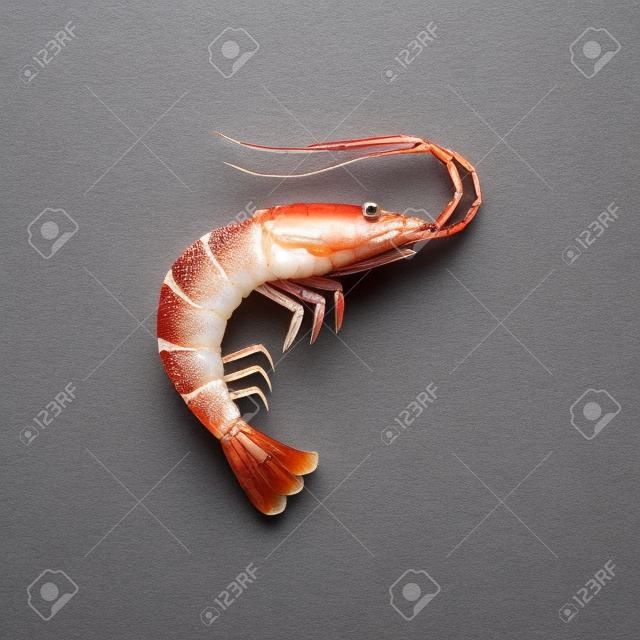 Shrimp in flat style.