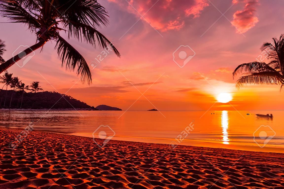 At sunset time on the tropical paradise island beach and sea with coconut palm tree for holiday and vacation