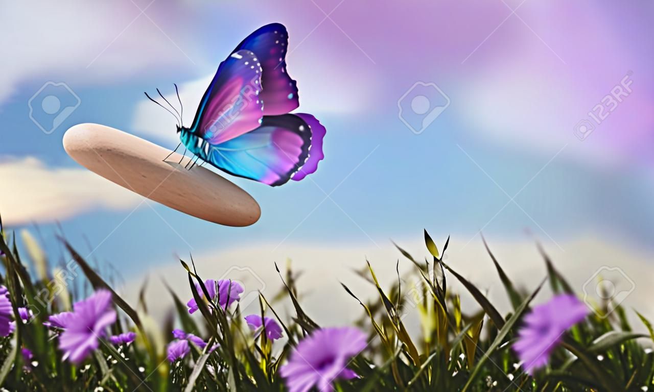 생활 개념의 조화. 정원에 있는 조약돌 돌 더미에 있는 초현실주의 나비. 자연과 기술의 균형에 대한 은유. 평온, 마음, 삶이 편안하고 자연에 의해 생활