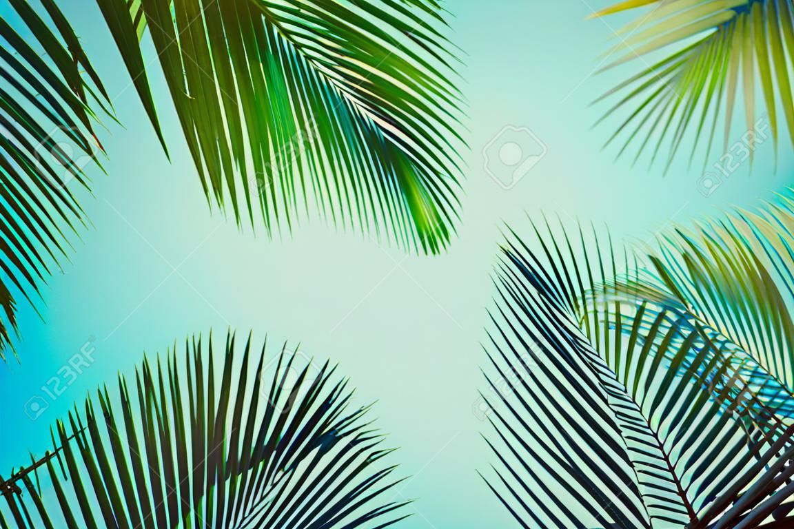 Palma kokosowa pod błękitnym niebem tło podróżne karta retro stonowana nieostrość