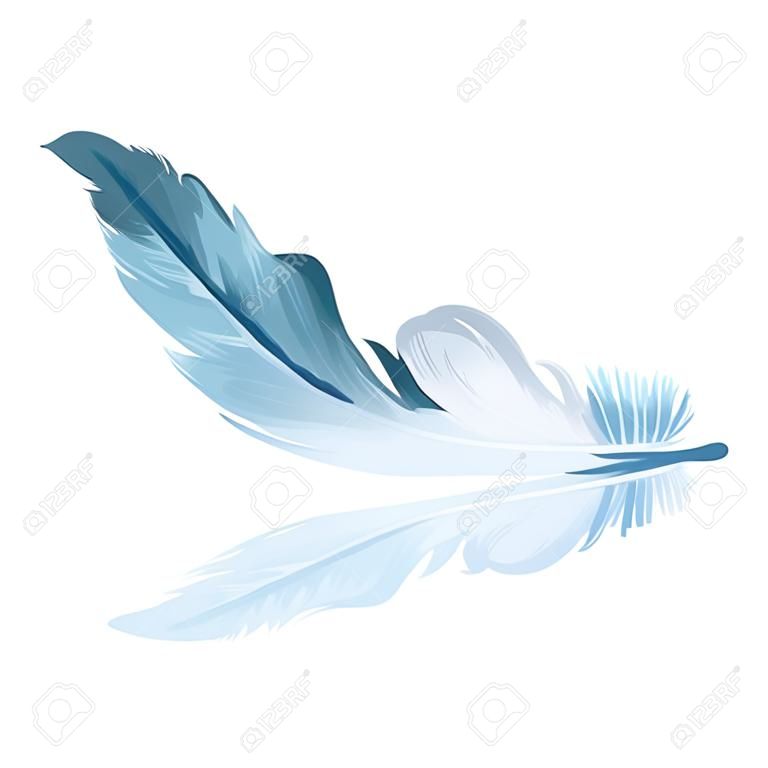 Vector illustration of watercolor feather.