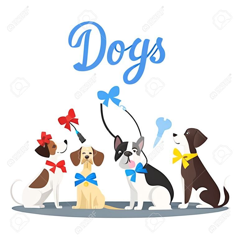 Wektor ilustracja kreskówka styl psów różnych ras z kolorowymi kokardkami. koncepcja pielęgnacji. suszarka do włosów i nożyczki.