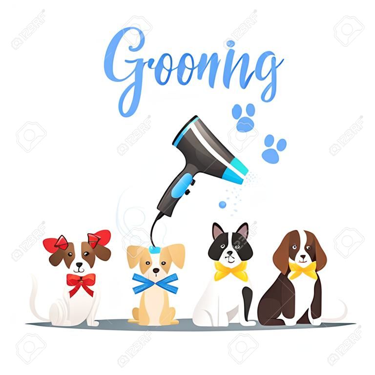 Wektor ilustracja kreskówka styl psów różnych ras z kolorowymi kokardkami. koncepcja pielęgnacji. suszarka do włosów i nożyczki.