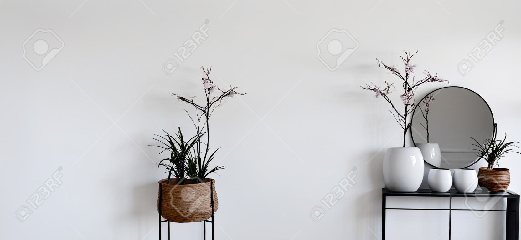 Single modern black display holding up mirror and potted plants in front of white wall. Includes copy space. 3d rendering
