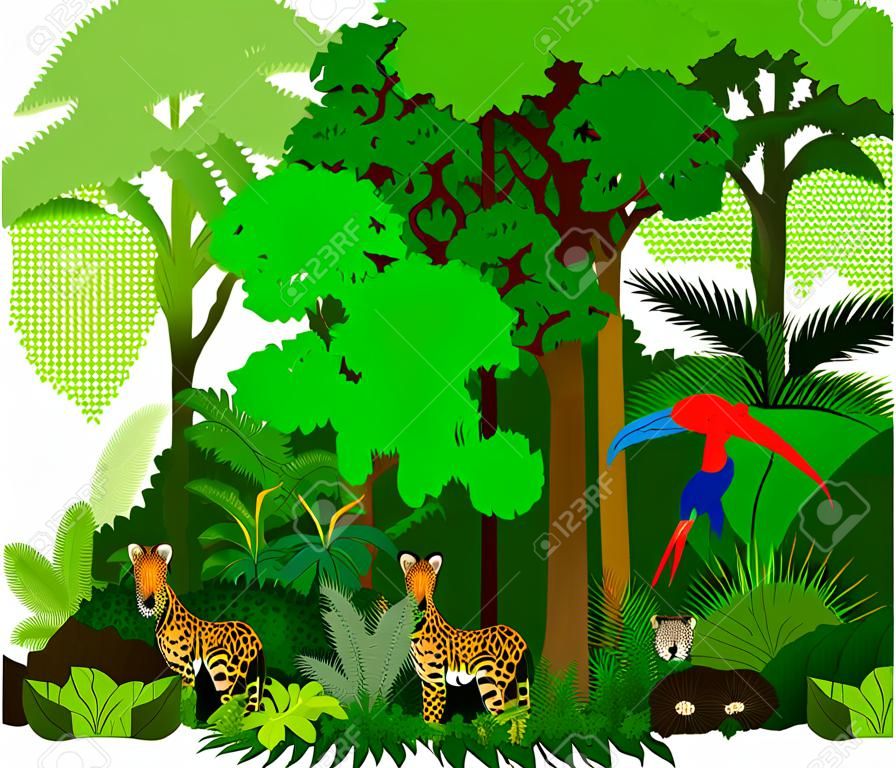 Rainforest иллюстрации. Зеленый Тропический лес джунгли