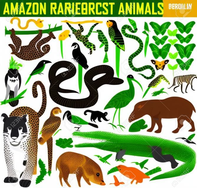 grande serie di vettore amazzoni animali della giungla della foresta pluviale