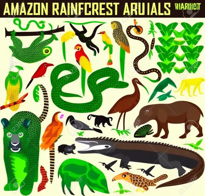 big set of vector amazon rainforest jungle animals