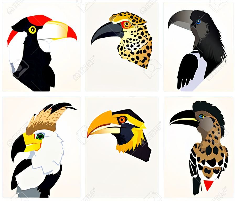 vector textures with african textures, yellow-billed hornbill
