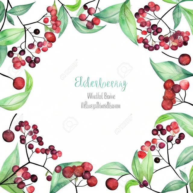 Card template with watercolor of elderberry branches, frame border background, hand painted on a white background