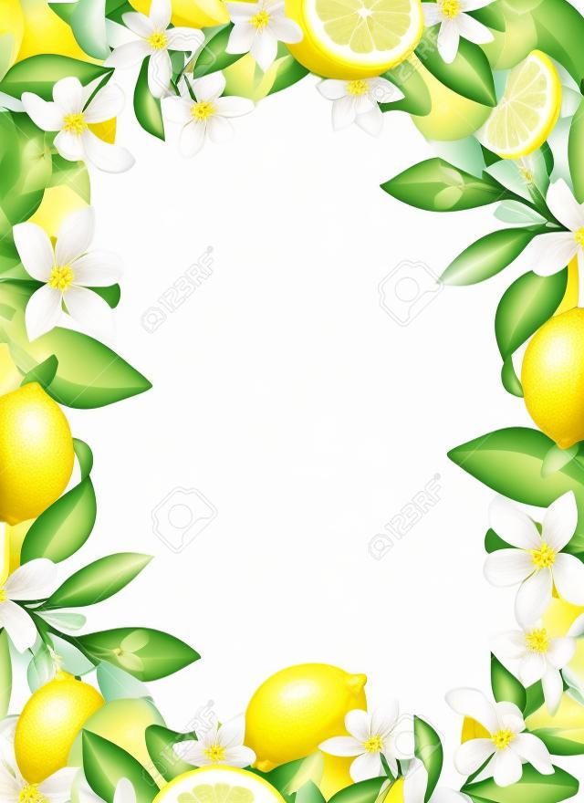 Card template, frame of hand drawn blooming lemon tree branches, flowers and lemons on white