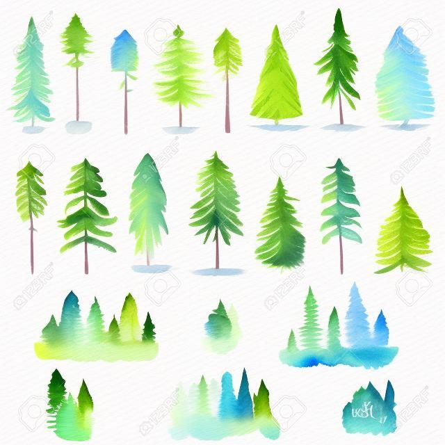 Kolekcja drzew iglastych akwarela, sosny i jodły, ręcznie rysowane ilustracja na białym tle