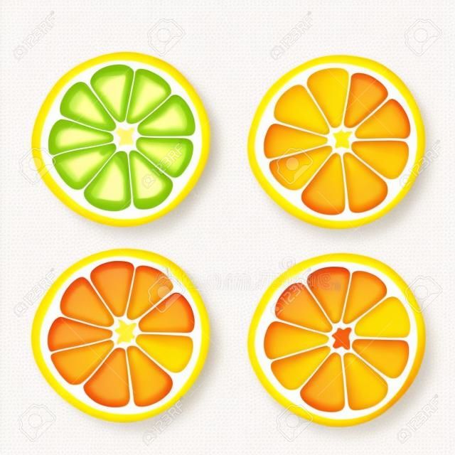 Tranches d'agrumes de citron, orange, citron vert et pamplemousse. Illustration vectorielle sur blanc
