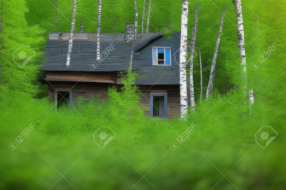 An old partially abandoned wooden house with two different facades: one with a thick log and another with rack coating, in a birch forest surrounded by trees and grasses, Novosibirsk, Russia