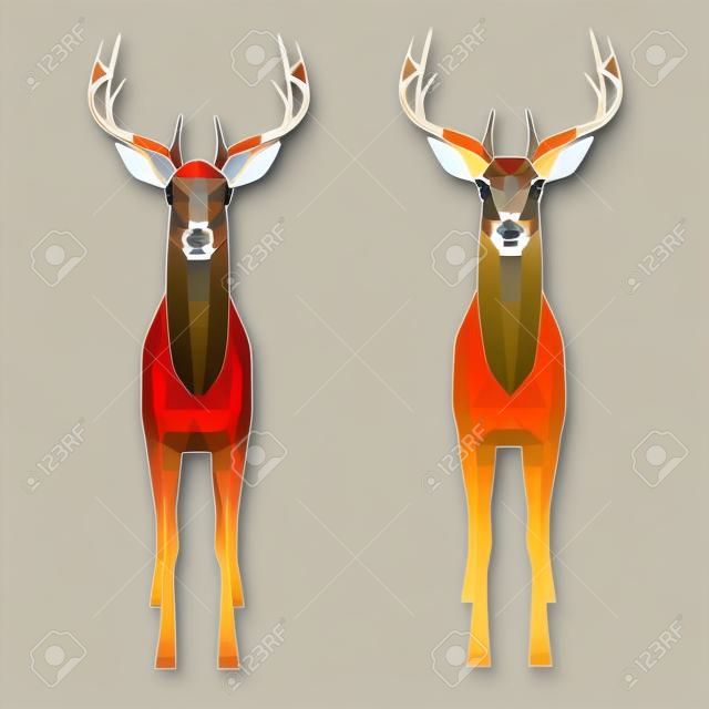 Vektorillustration von Rehen, Vorderansicht. Zwei Hirsche mit polygonalem und retikuliertem 3D.
