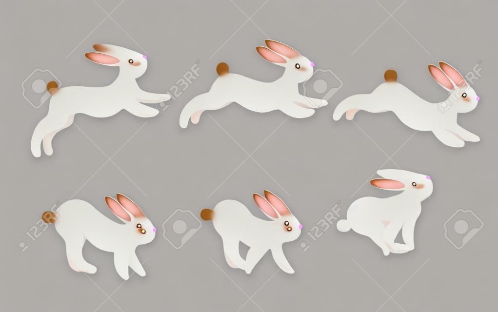 Animáció ciklus futás nyúl.Rabbit mozgás jelentenek