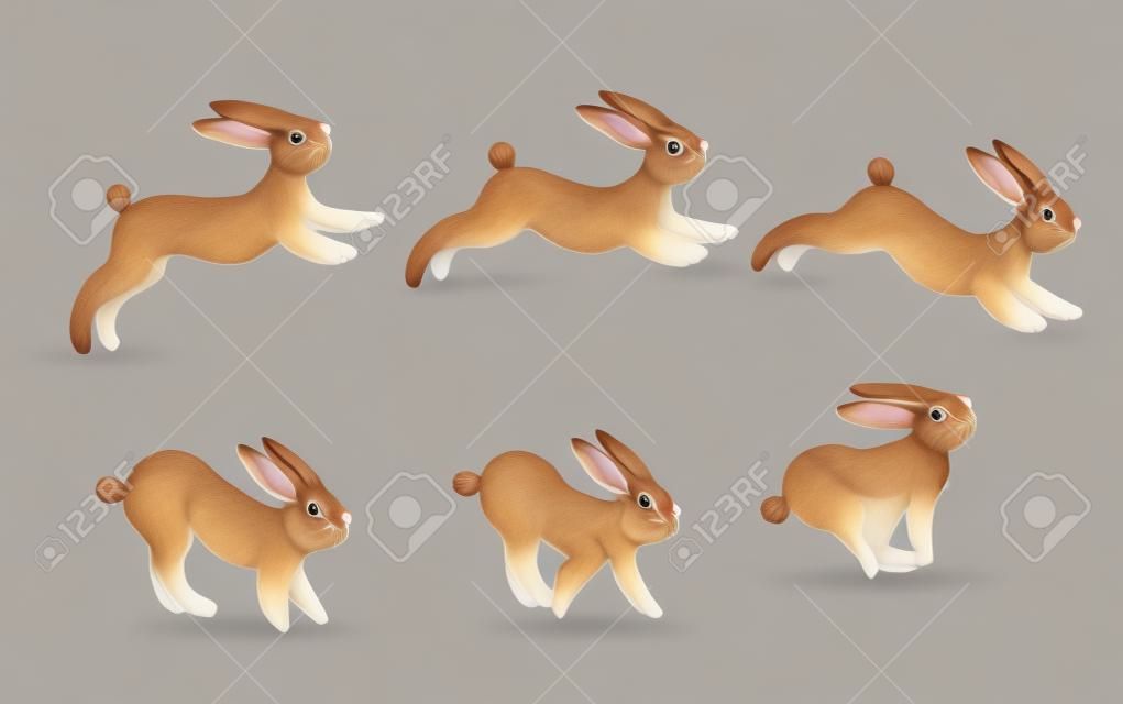 Animáció ciklus futás nyúl.Rabbit mozgás jelentenek